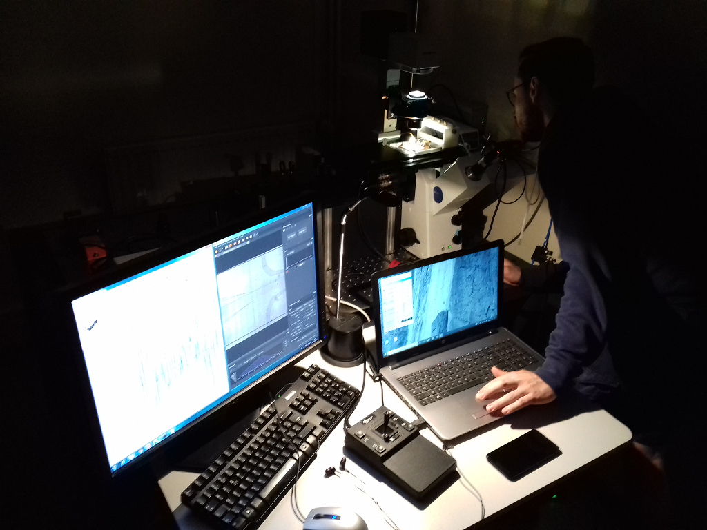 Photograph of Clyde performing a dielectrophoresis experiment