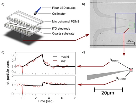 DEP of gold nanoparticles